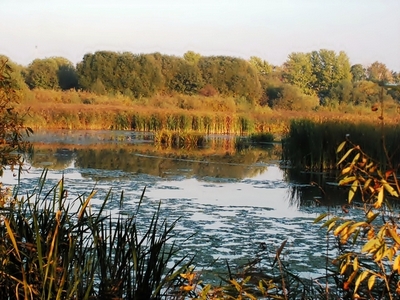 Вид на Чёрное озеро. Засвияжский район г. Ульяновска
